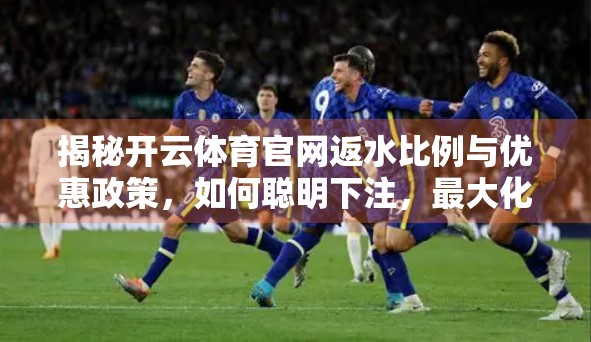 揭秘开云体育官网返水比例与优惠政策，如何聪明下注，最大化你的投注回报？