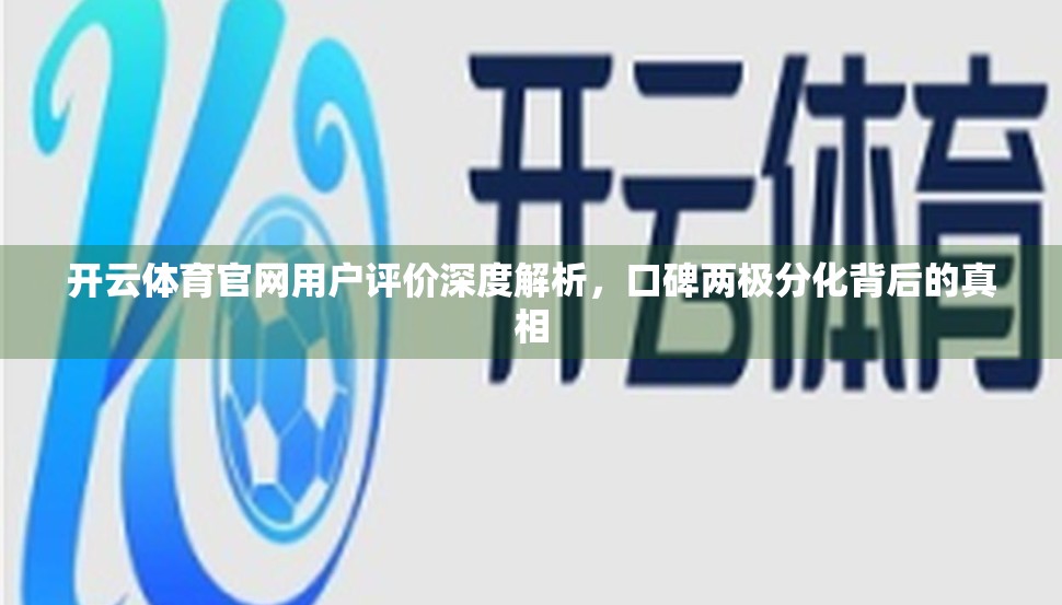 开云体育官网用户评价深度解析，口碑两极分化背后的真相