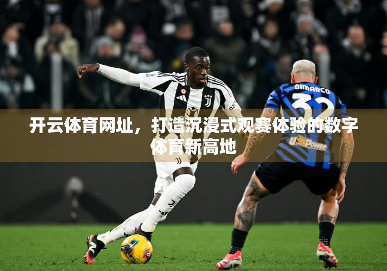 开云体育网址，打造沉浸式观赛体验的数字体育新高地