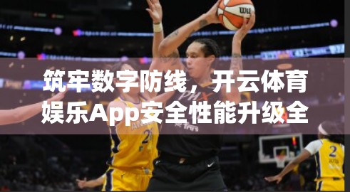 筑牢数字防线，开云体育娱乐App安全性能升级全攻略