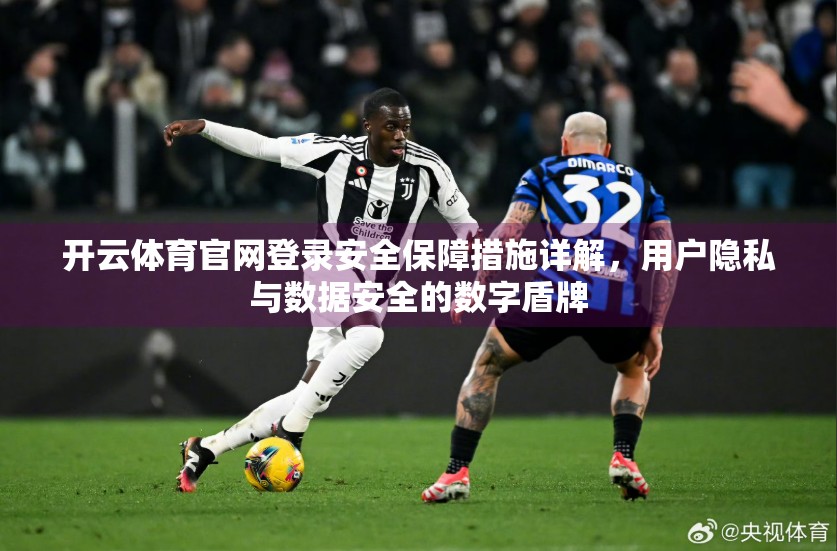 开云体育官网登录安全保障措施详解，用户隐私与数据安全的数字盾牌