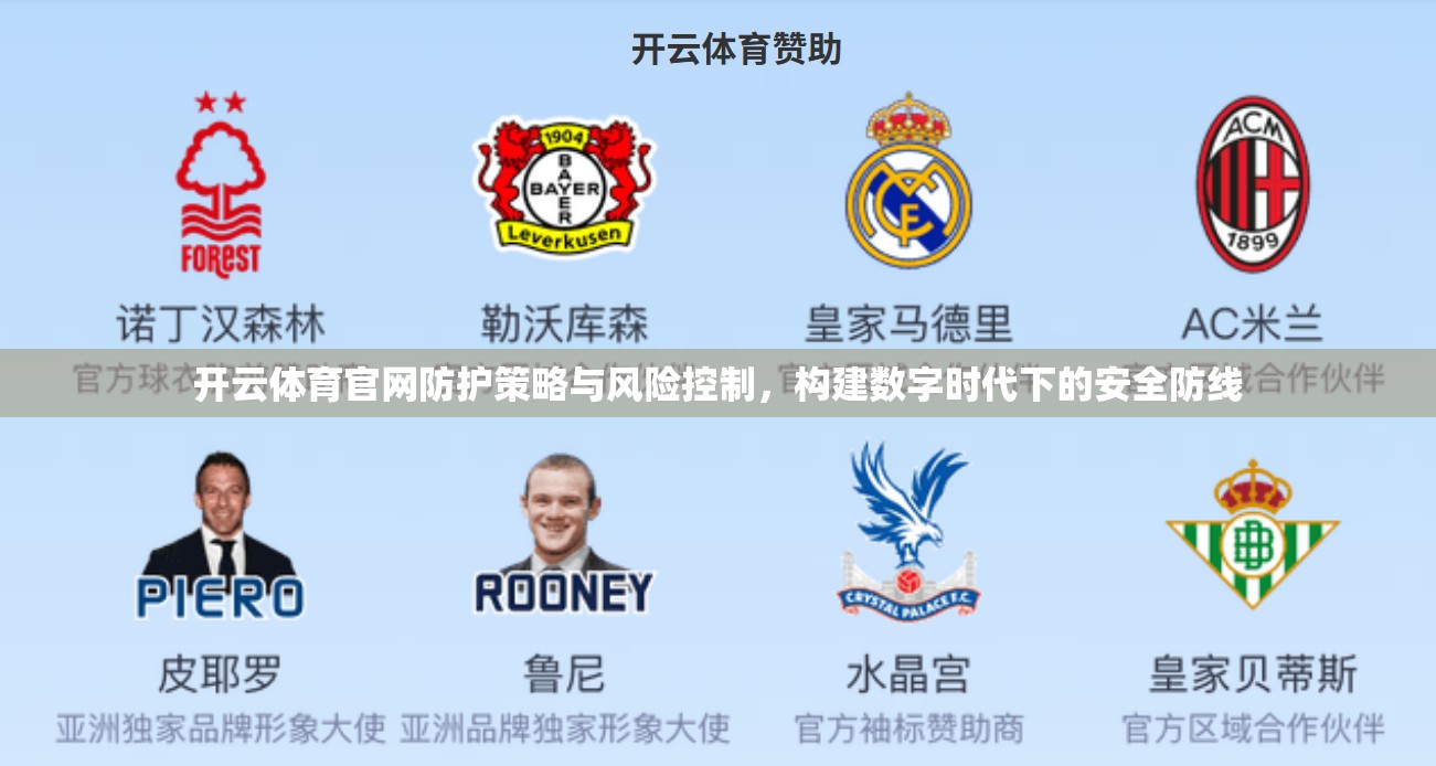 开云体育官网防护策略与风险控制，构建数字时代下的安全防线