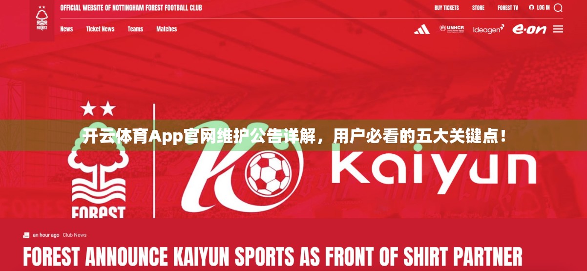 开云体育App官网维护公告详解，用户必看的五大关键点！