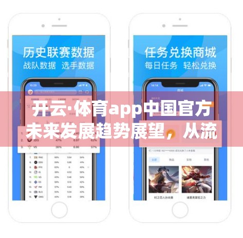 开云·体育app中国官方未来发展趋势展望，从流量红利到价值深耕的跃迁之路