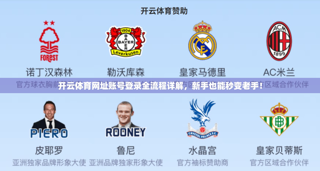开云体育网址账号登录全流程详解，新手也能秒变老手！