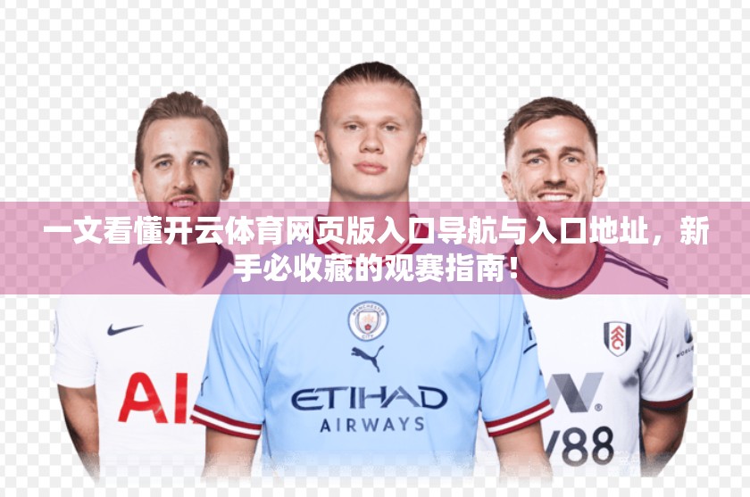 一文看懂开云体育网页版入口导航与入口地址，新手必收藏的观赛指南！