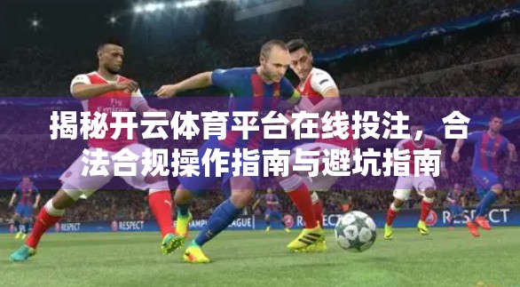 揭秘开云体育平台在线投注，合法合规操作指南与避坑指南