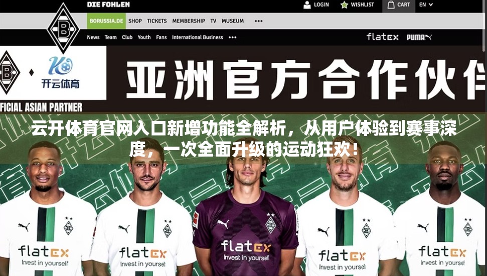 云开体育官网入口新增功能全解析，从用户体验到赛事深度，一次全面升级的运动狂欢！
