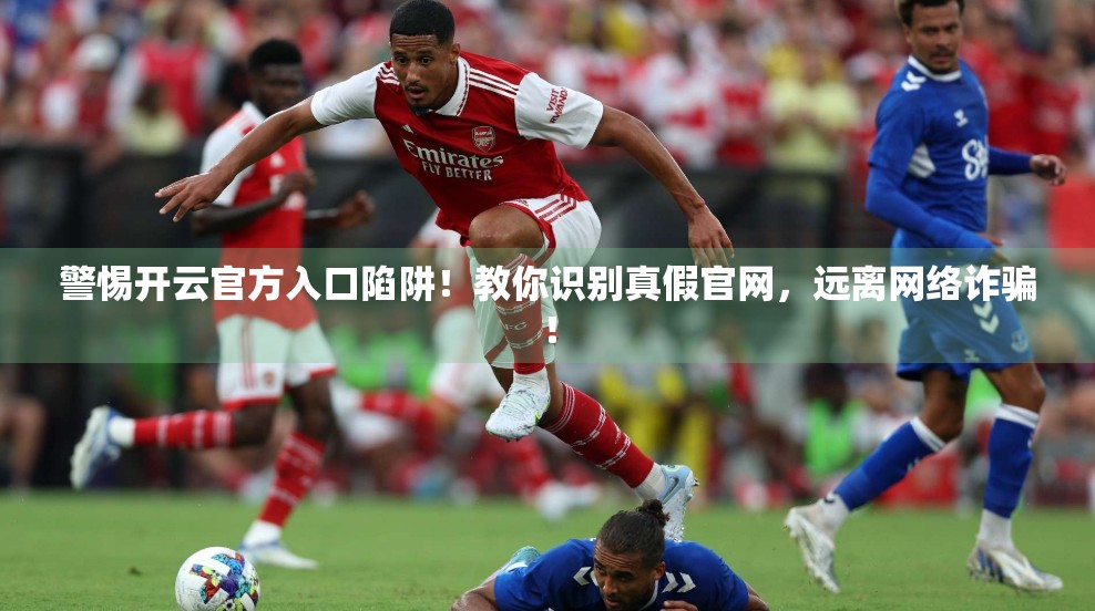 警惕开云官方入口陷阱！教你识别真假官网，远离网络诈骗！