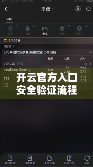 开云官方入口安全验证流程全解析，如何在数字时代守护你的账户安全？