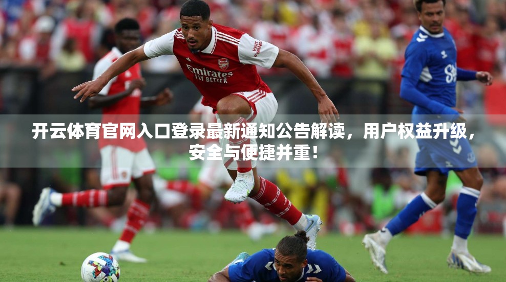 开云体育官网入口登录最新通知公告解读，用户权益升级，安全与便捷并重！