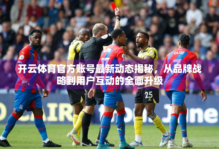开云体育官方账号最新动态揭秘，从品牌战略到用户互动的全面升级