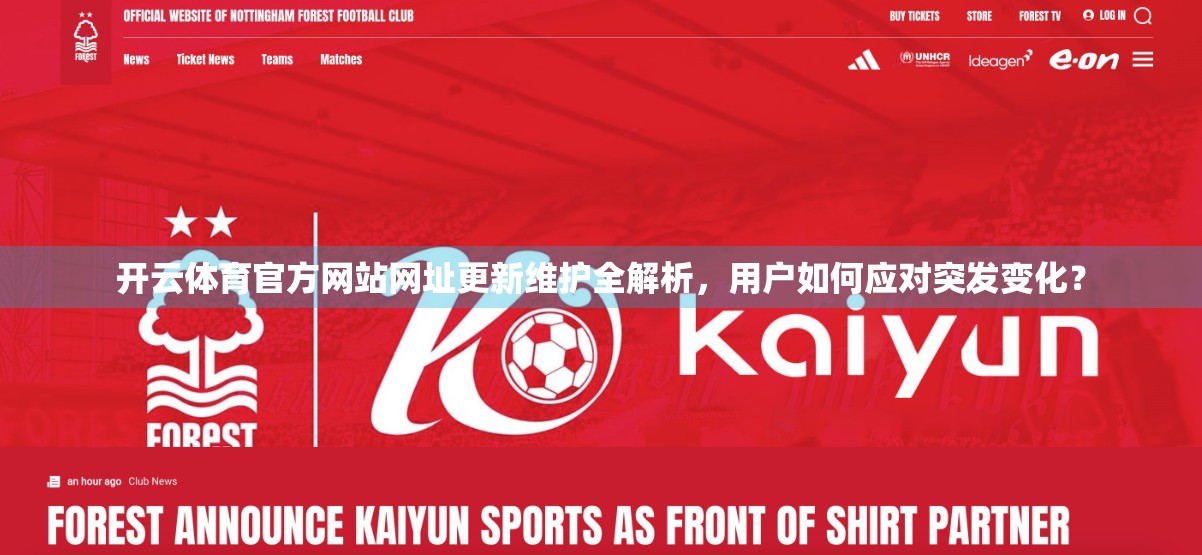 开云体育官方网站网址更新维护全解析，用户如何应对突发变化？