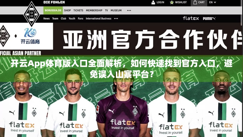开云App体育版入口全面解析，如何快速找到官方入口，避免误入山寨平台？