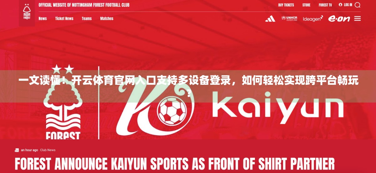 一文读懂！开云体育官网入口支持多设备登录，如何轻松实现跨平台畅玩？