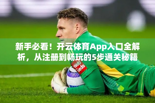 新手必看！开云体育App入口全解析，从注册到畅玩的5步通关秘籍