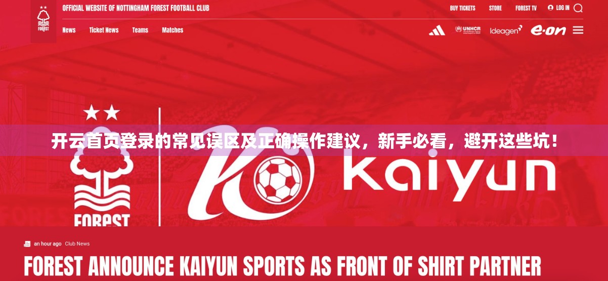 开云首页登录的常见误区及正确操作建议，新手必看，避开这些坑！